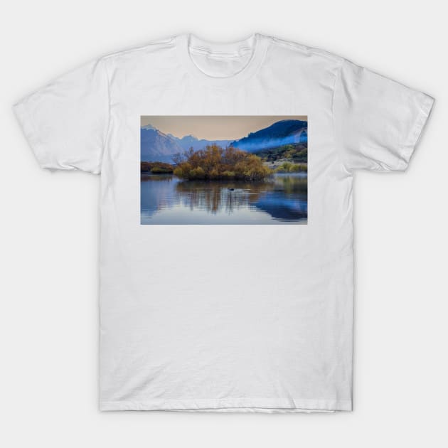 Serene Swan: A Majestic Sight in Glenorchy T-Shirt by Rexel99
